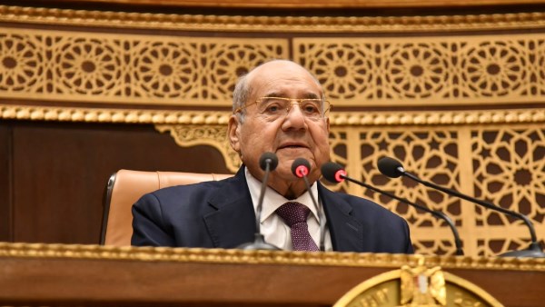 جانب من الجلسة 