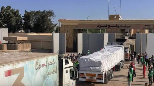 المساعدات في رفح 