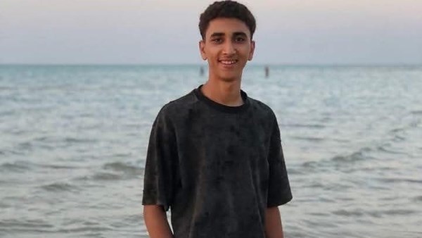 محمود عمر المشد  محمود عمر المشد
