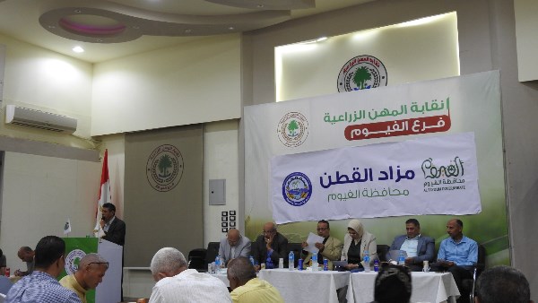 المزاد