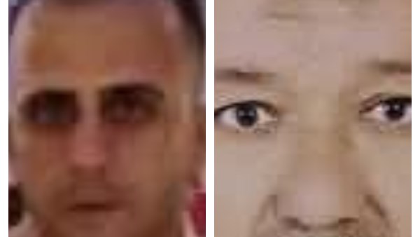 الضحيتان