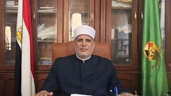 محمود حسانين