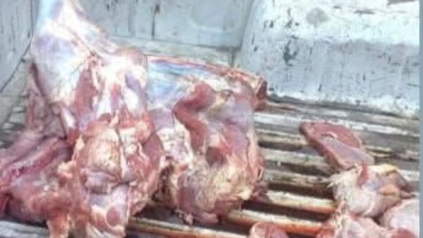 ضبط أكثر من 332 كجم لحوم ودواجن بالبحيرة 