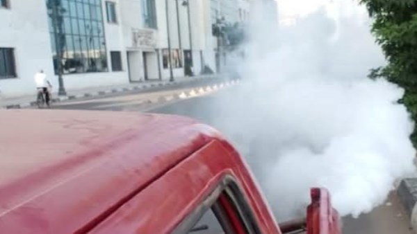 مكافحة ناقلات الأمراض المعدية بالبحيرة