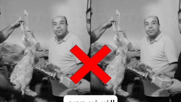 ضبط محل يبيع لحوم كلاب بالمحافظة