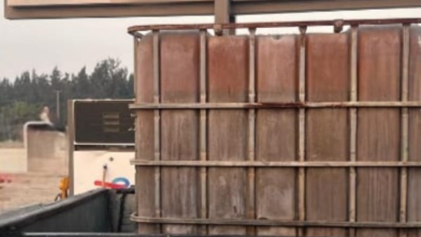 حملات تموينية بالبحيرة  حملات تموينية بالبحيرة