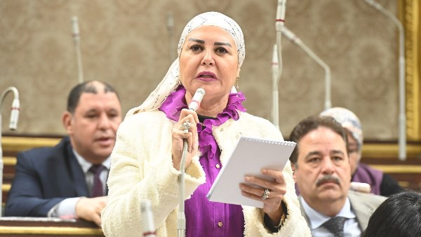 النائبة أمل سلامة، عضو مجلس النواب