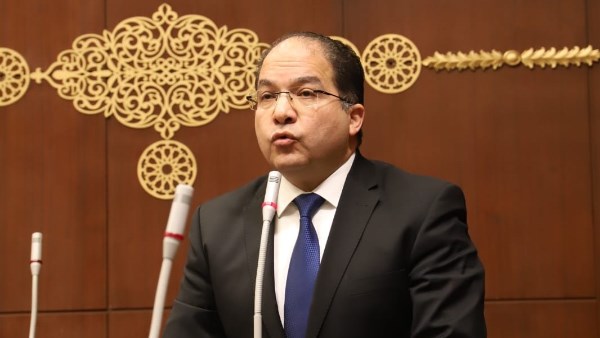 النائب عادل اللمعي، عضو مجلس الشيوخ