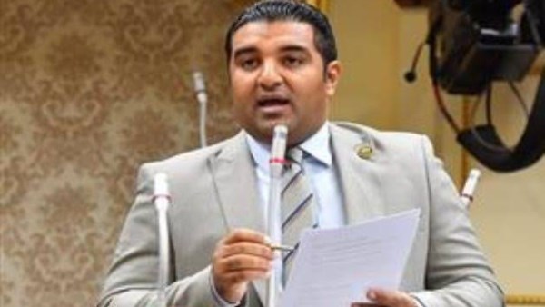 النائب محمود عصام، عضو مجلس النواب