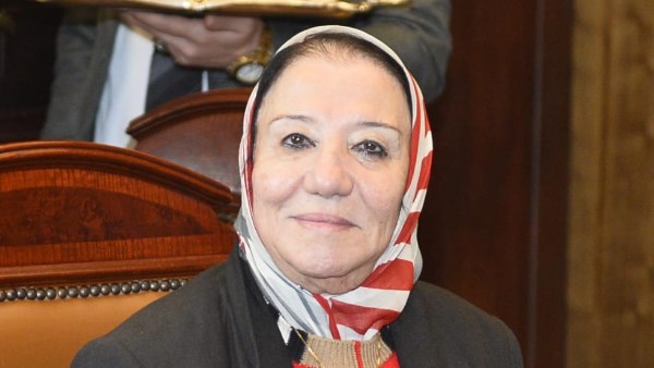 النائبة حياة خطاب، عضو مجلس الشيوخ