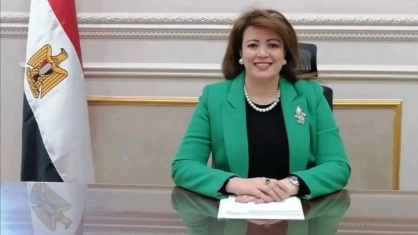 النائبة الدكتورة سماء سليمان وكيل لجنة الشؤون الخارجية والعربية والأفريقية بمجلس الشيوخ 