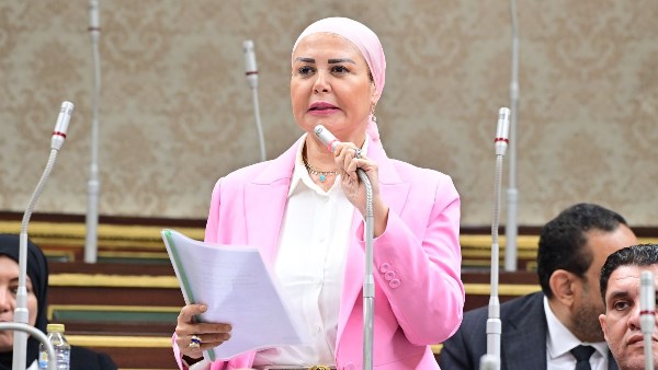 النائبة أمل سلامة، عضو مجلس النواب
