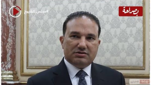 النائب تامر عبد الحميد، عضو مجلس الشيوخ