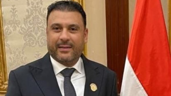 النائب عمر الغنيمي، عضو مجلس الشيوخ