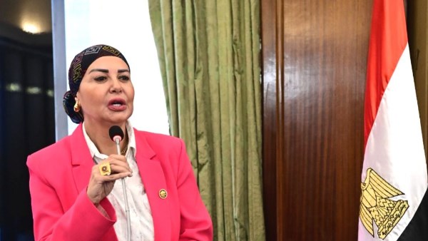 النائبة أمل سلامة عضو مجلس النواب النائبة أمل سلامة عضو مجلس النواب