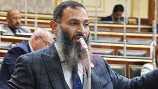 النائب احمد حمدي خطاب عضو مجلس النواب 