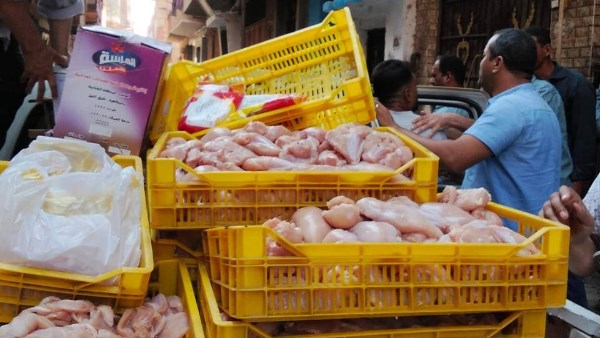 ضبط فراخ فاسدة ضبط فراخ فاسدة