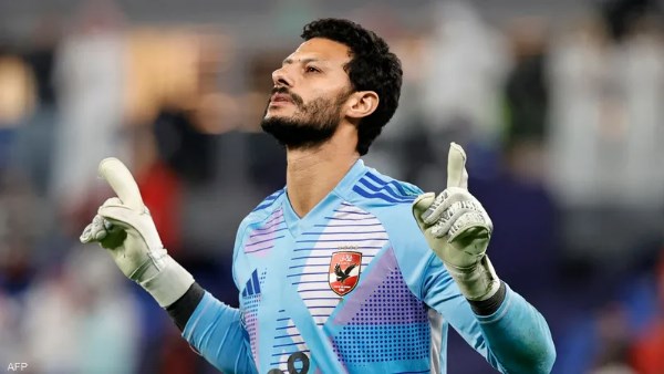 محد الشناوي محد الشناوي