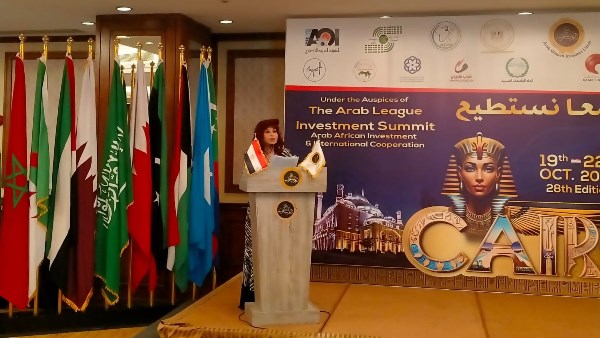 الدكتورة إيمان كريم المشرف العام على المجلس القومى للأشخاص ذوى الإعاقة