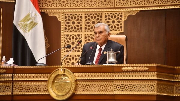 المستشار عصام الدين أحمد محمد فريد رئيسًا للمجلس الشيوخ 