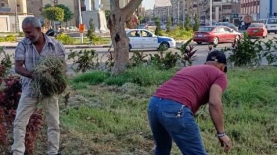 جانب من أعمال النظافة 