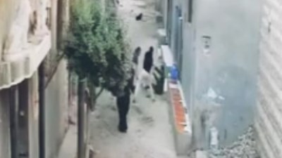 اعتداء بالشوم على شاب أمام منزله وسط صرخات أسرته