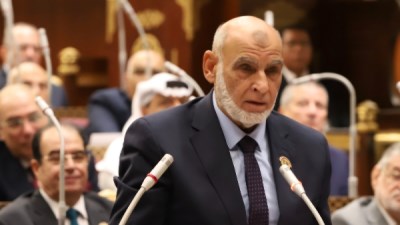 ممدوح شعبان عضو مجلس الشيوخ