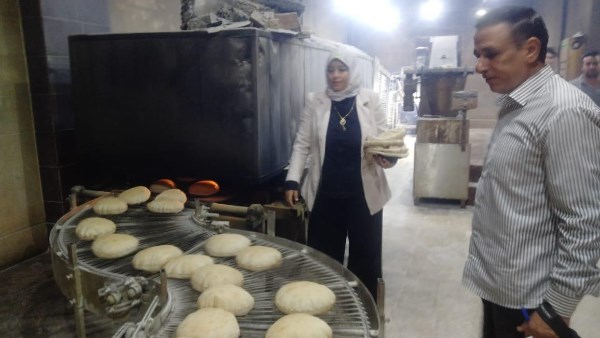 محافظ كفرالشيخ