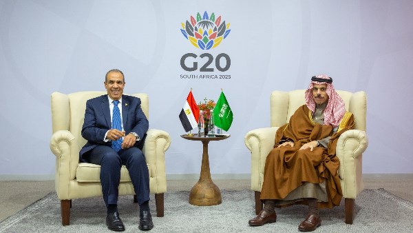 وزير الخارجية المصري ونظيره السعودي