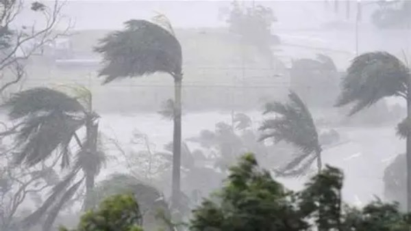 صورة_ارشيفية