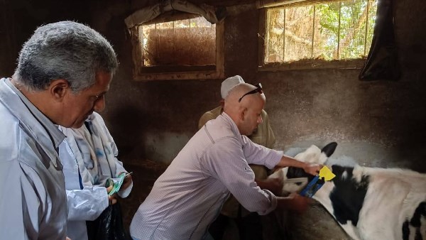 أثناء الجولة