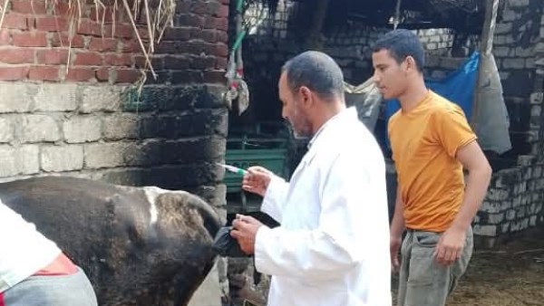 جانب من الكشف 