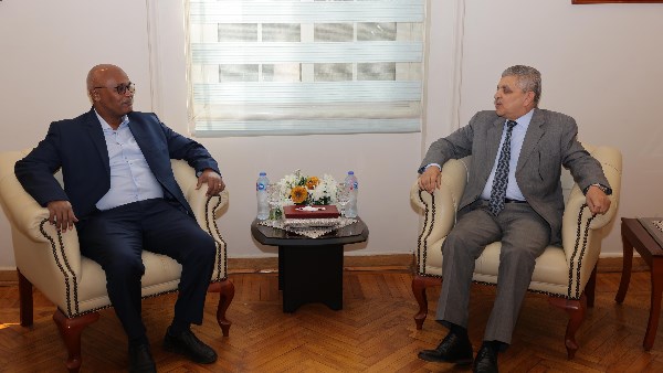 الفريق أسامه ربيع 