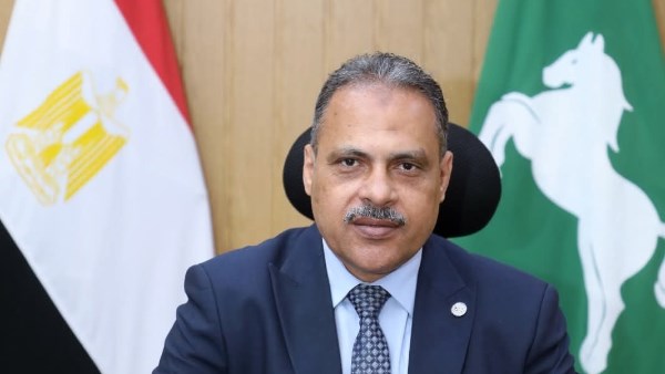 محافظ الشرقية 