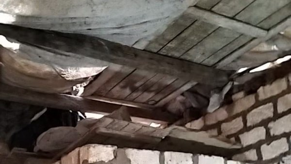 جانب من المنزل