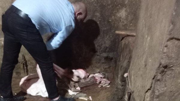 جانب من المظبوطات 