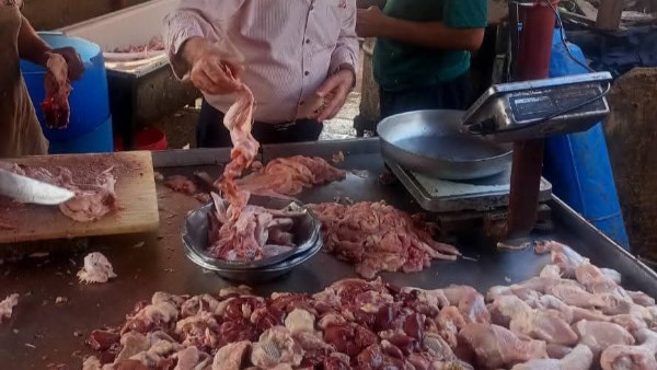 جانب من المظبوطات 