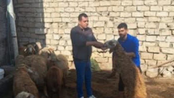 محافظة البحيرة 