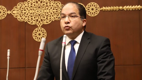 النائب عادل اللمعي، عضو مجلس الشيوخ