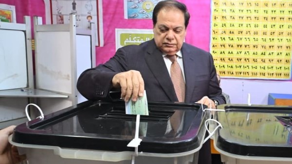 النائب محمد أبوالعينين، وكيل مجلس النواب