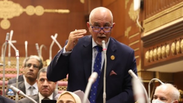 حازم الجندى عضو مجلس الشيوخ 