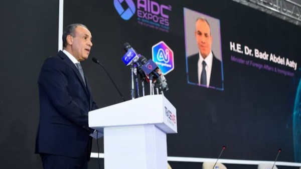 وزير الخارجية 