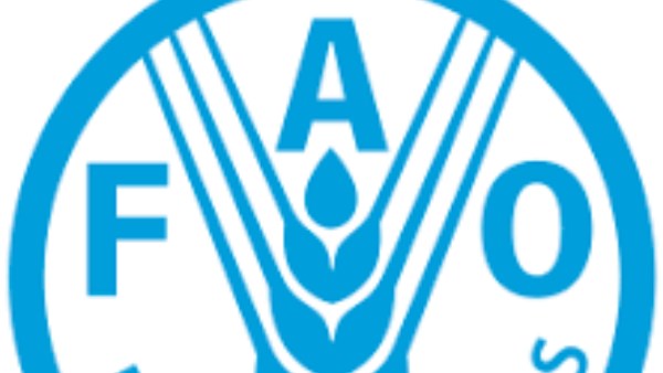 منظمة الأغذية والزراعة للأمم المتحدة
