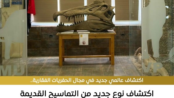  اكتشاف نوع جديد من التماسيح القديمة 