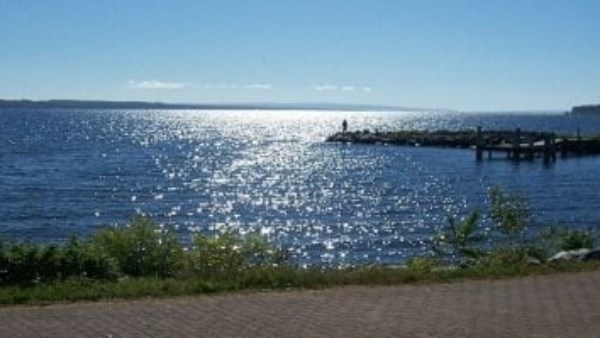 حزمة إجراءات وضوابط من قانون حماية البحيرات للنهوض بالثروة السمكية