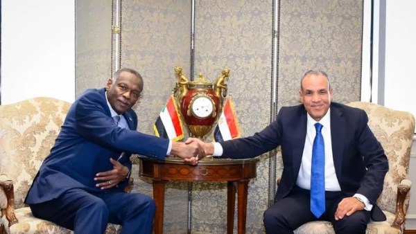 وزير الخارجية المصري والسوداني 