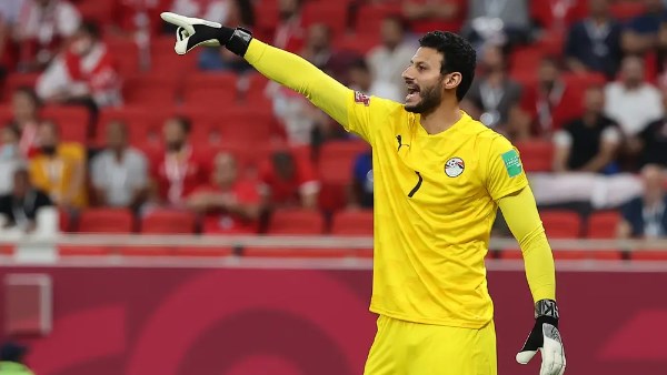 محمد الشناوي