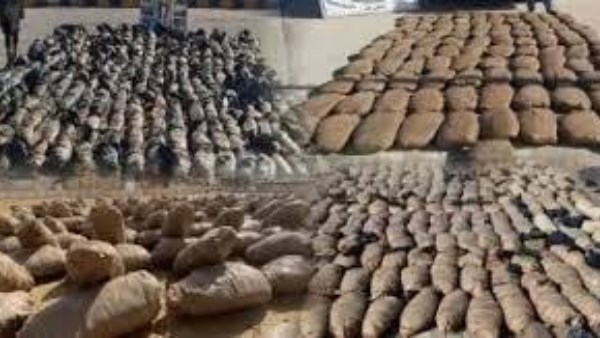 حبس متهمة 4 أيام في الإسكندرية بعد ضبط طن حشيش