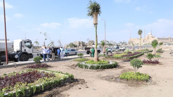 مبادرة "100 مليون شجرة" بمحافظة الفيوم  مبادرة "100 مليون شجرة" بمحافظة الفيوم
