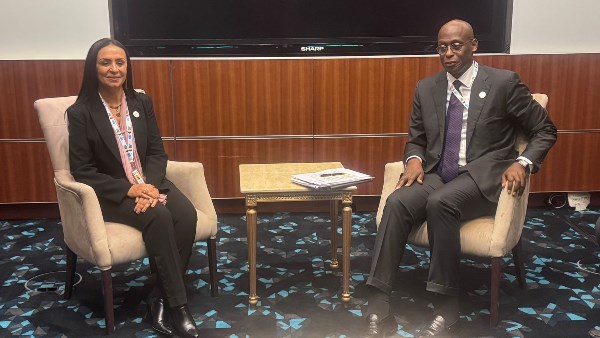 جانب من اللقاء 